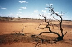 Dry river bed