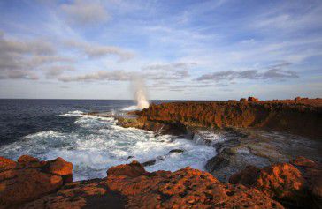 BLOWHOLES