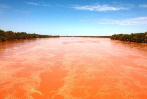 GASCOYNE RIVER