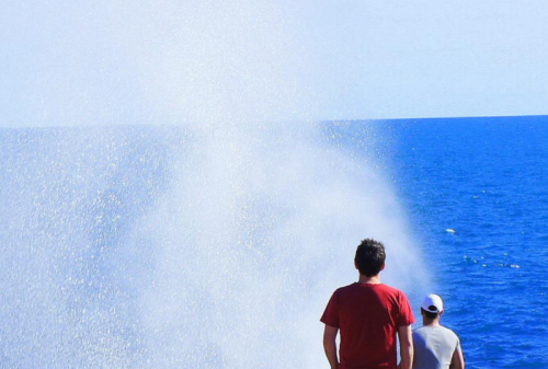 FISHING IN CARNARVON